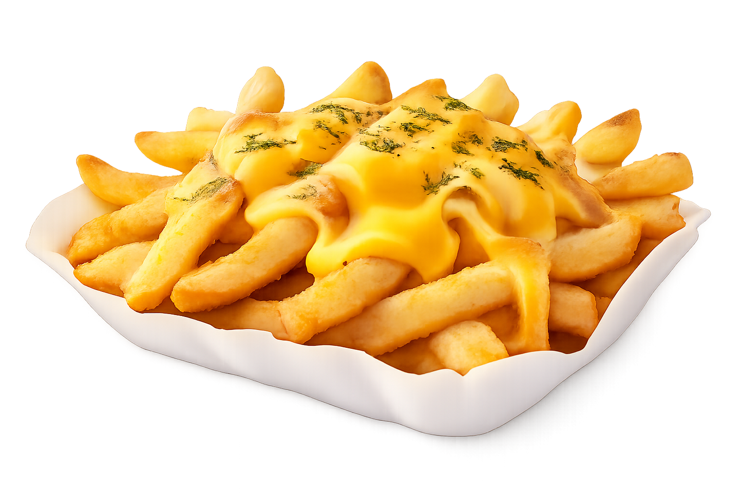 Classic Fries